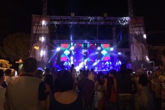 Concerto Cover Band Nannini